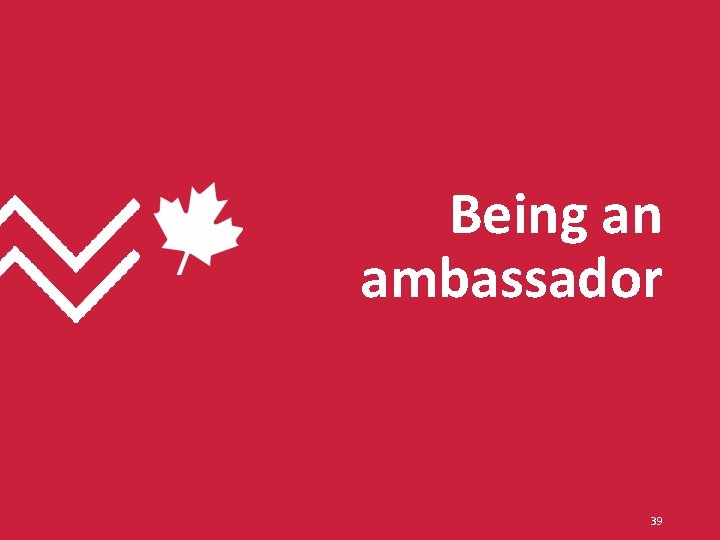 Being an ambassador 39 