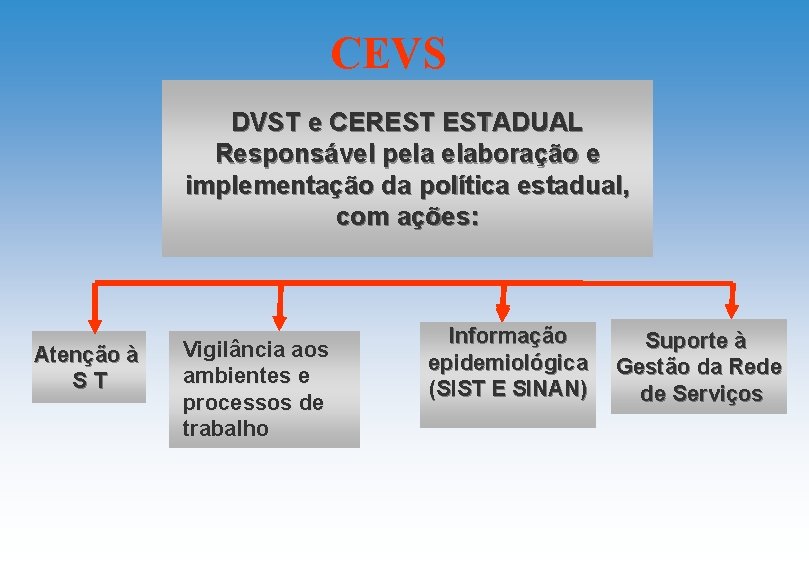 CEVS DVST e CEREST ESTADUAL Responsável pela elaboração e implementação da política estadual, com