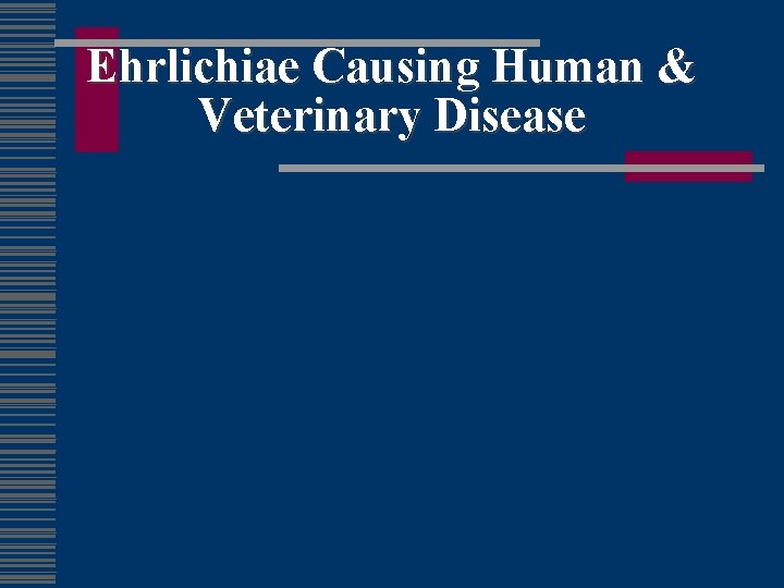 Ehrlichiae Causing Human & Veterinary Disease 