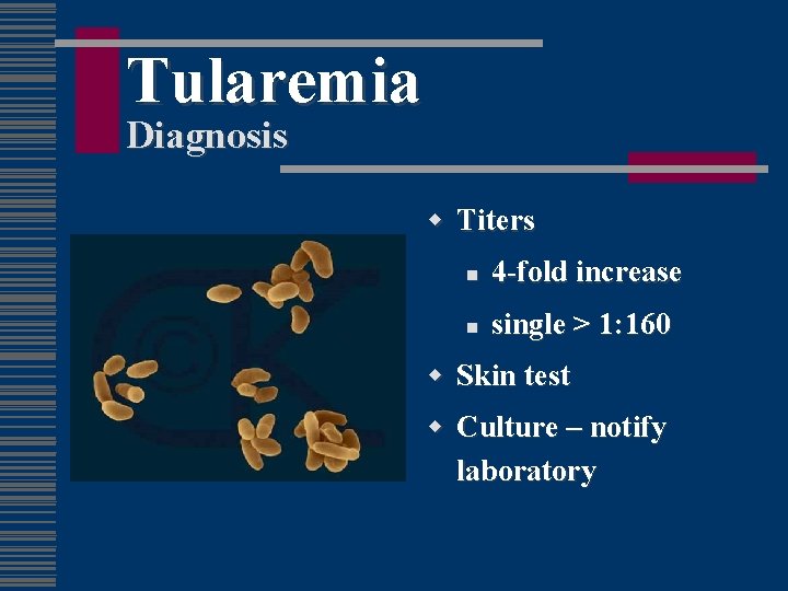 Tularemia Diagnosis w Titers n 4 -fold increase n single > 1: 160 w