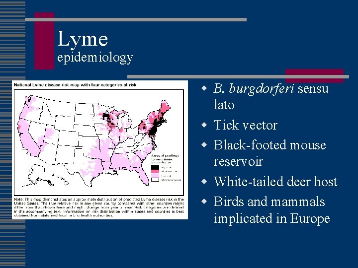 Lyme epidemiology w B. burgdorferi sensu lato w Tick vector w Black-footed mouse reservoir