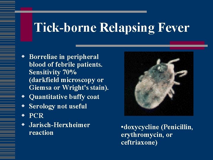 Tick-borne Relapsing Fever w Borreliae in peripheral blood of febrile patients. Sensitivity 70% (darkfield