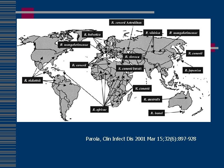 Parola, Clin Infect Dis 2001 Mar 15; 32(6): 897 -928 