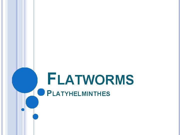 FLATWORMS PLATYHELMINTHES 