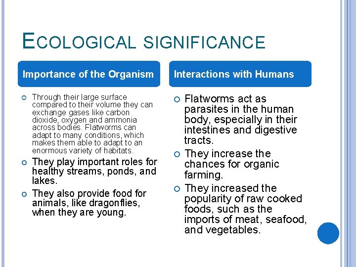 ECOLOGICAL SIGNIFICANCE Importance of the Organism Through their large surface compared to their volume