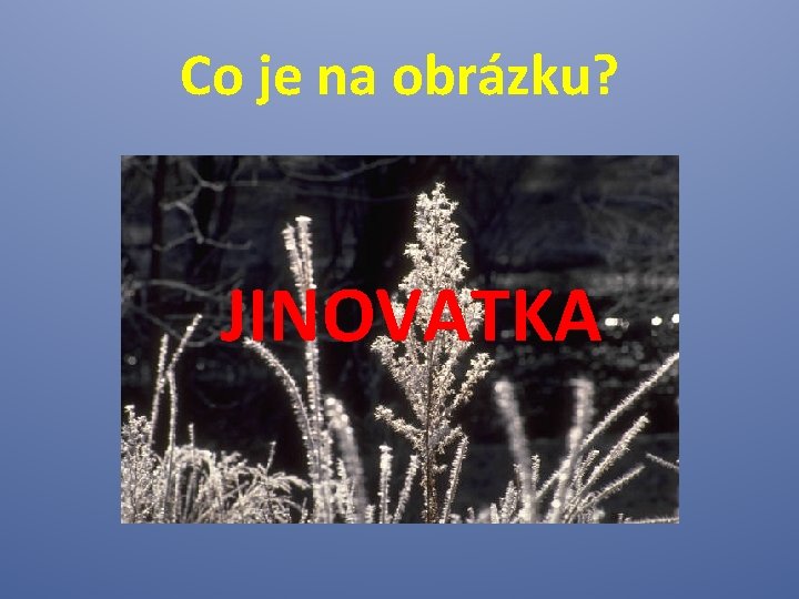 Co je na obrázku? JINOVATKA 