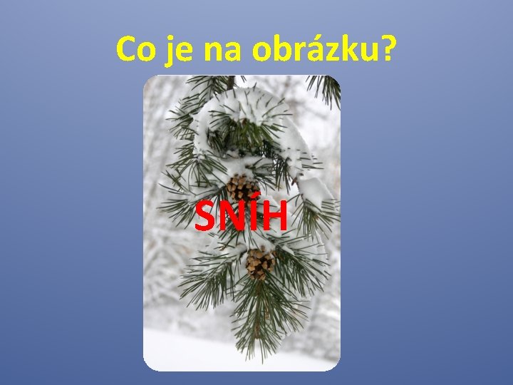 Co je na obrázku? SNÍH 