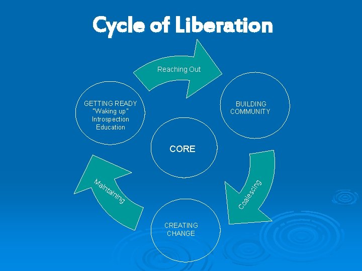 Cycle of Liberation Reaching Out GETTING READY “Waking up” Introspection Education BUILDING COMMUNITY sc Cycle of Liberation Reaching Out GETTING READY “Waking up” Introspection Education BUILDING COMMUNITY sc