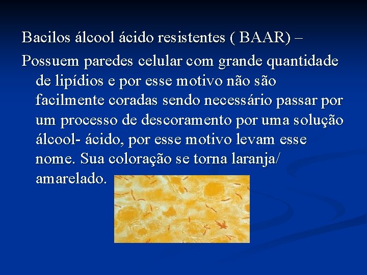 Bacilos álcool ácido resistentes ( BAAR) – Possuem paredes celular com grande quantidade de