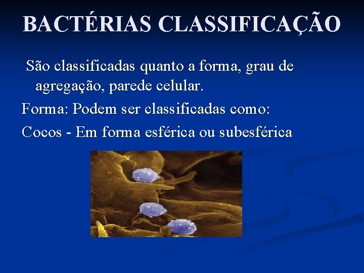 BACTÉRIAS CLASSIFICAÇÃO São classificadas quanto a forma, grau de agregação, parede celular. Forma: Podem