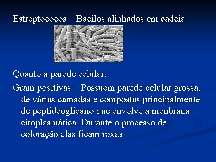 Estreptococos – Bacilos alinhados em cadeia Quanto a parede celular: Gram positivas – Possuem