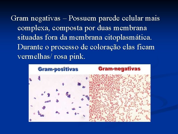 Gram negativas – Possuem parede celular mais complexa, composta por duas membrana situadas fora