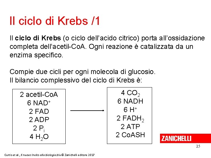Il ciclo di Krebs /1 Il ciclo di Krebs (o ciclo dell’acido citrico) porta