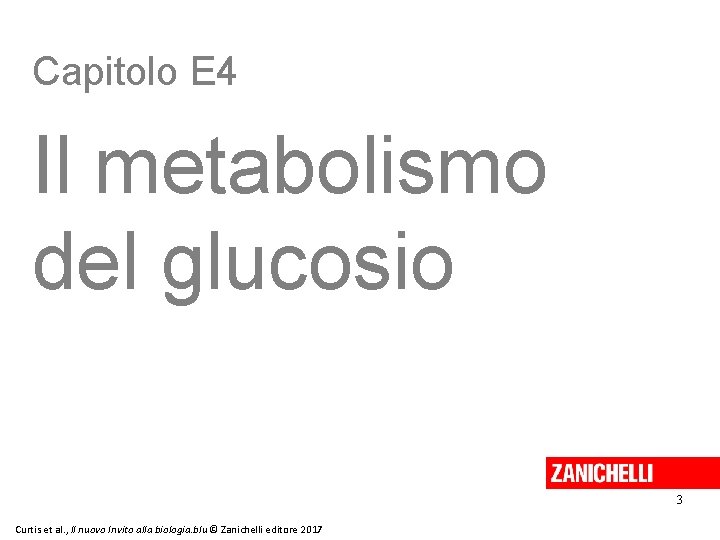 Capitolo E 4 Il metabolismo del glucosio 3 Curtis et al. , Il nuovo