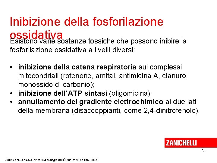 Inibizione della fosforilazione ossidativa Esistono varie sostanze tossiche possono inibire la fosforilazione ossidativa a