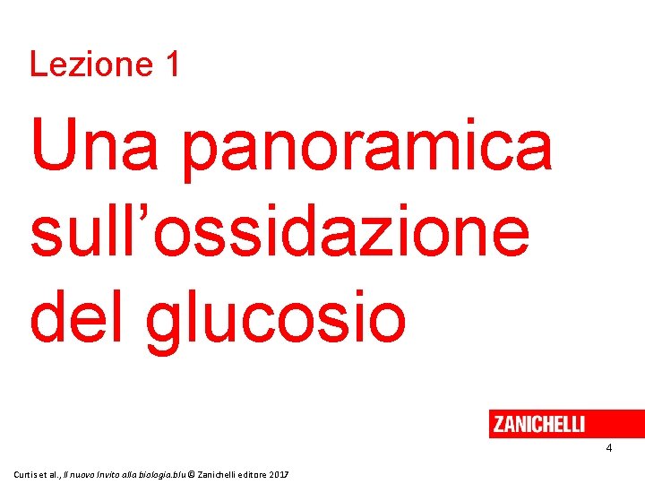 Lezione 1 Una panoramica sull’ossidazione del glucosio 4 Curtis et al. , Il nuovo