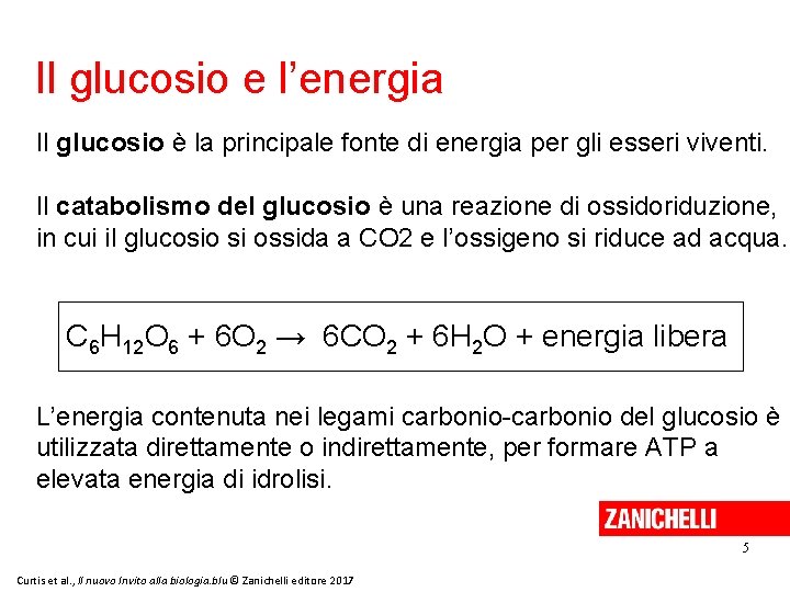 Il glucosio e l’energia Il glucosio è la principale fonte di energia per gli