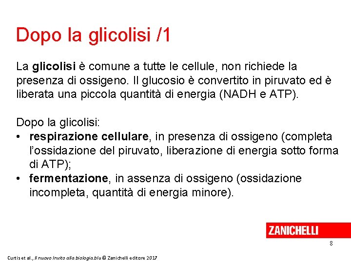 Dopo la glicolisi /1 La glicolisi è comune a tutte le cellule, non richiede