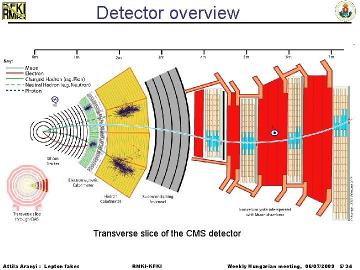 Detector overview Transverse slice of the CMS detector Attila Aranyi : Lepton fakes RMKI-KFKI