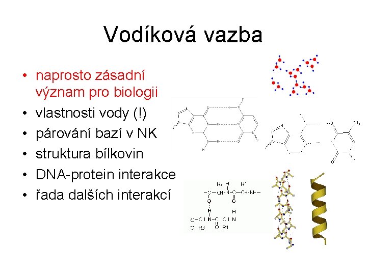 Vodíková vazba • naprosto zásadní význam pro biologii • vlastnosti vody (!) • párování