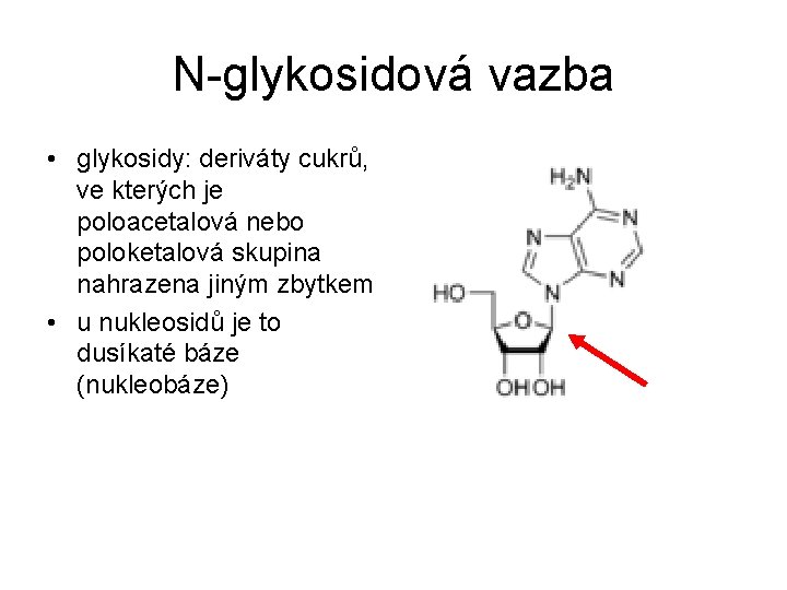 N-glykosidová vazba • glykosidy: deriváty cukrů, ve kterých je poloacetalová nebo poloketalová skupina nahrazena