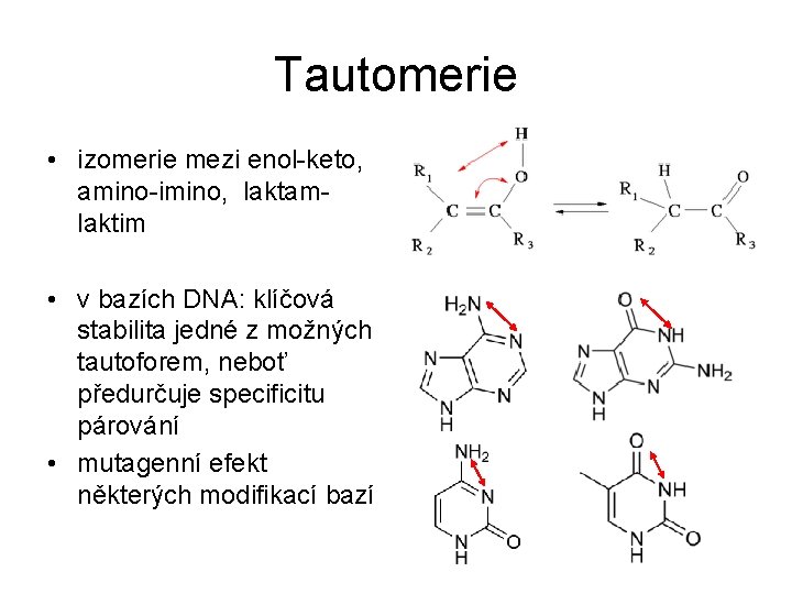 Tautomerie • izomerie mezi enol-keto, amino-imino, laktamlaktim • v bazích DNA: klíčová stabilita jedné