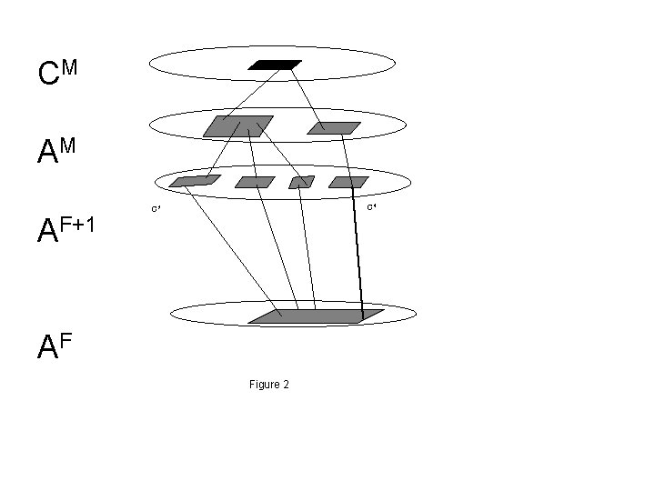 CM AM AF+1 C 4 C 1 AF Figure 2 