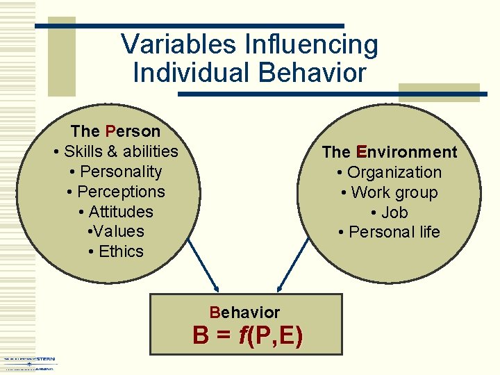 Variables Influencing Individual Behavior P The Person • Skills & abilities • Personality •
