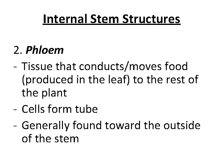 Internal Stem Structures 2. Phloem - Tissue that conducts/moves food (produced in the leaf) Internal Stem Structures 2. Phloem - Tissue that conducts/moves food (produced in the leaf)