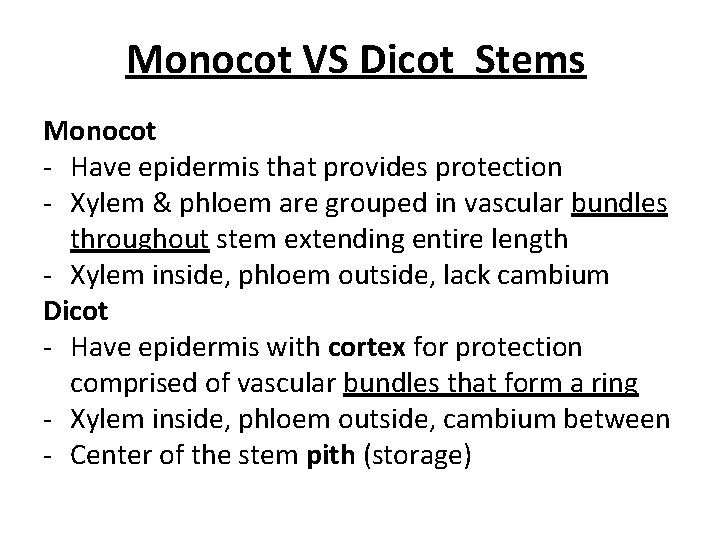 Monocot VS Dicot Stems Monocot - Have epidermis that provides protection - Xylem &