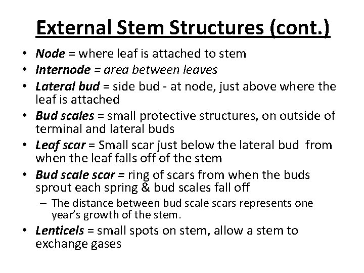 External Stem Structures (cont. ) • Node = where leaf is attached to stem