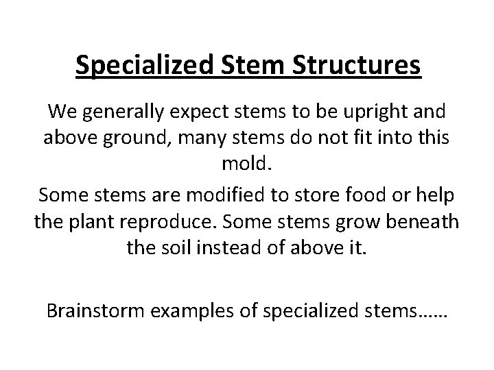 Specialized Stem Structures We generally expect stems to be upright and above ground, many