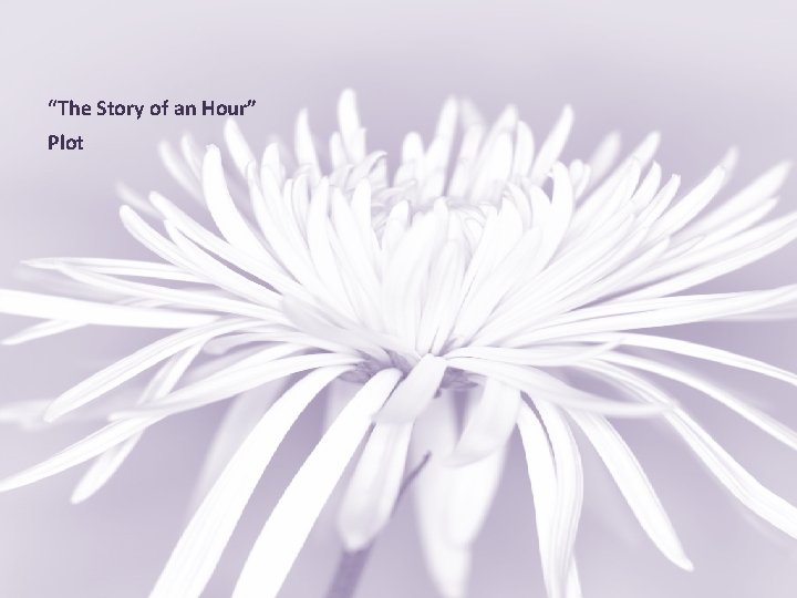 “The Story of an Hour” Plot 