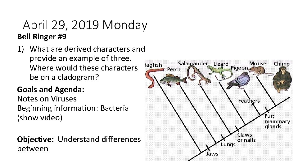 April 29, 2019 Monday Bell Ringer #9 1) What are derived characters and provide