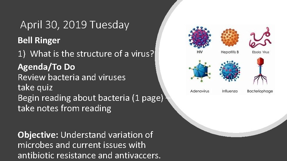 April 30, 2019 Tuesday Bell Ringer 1) What is the structure of a virus?