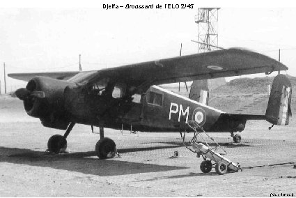 Djelfa – Broussard de l’ELO 2/45 (Marc Hofman) 