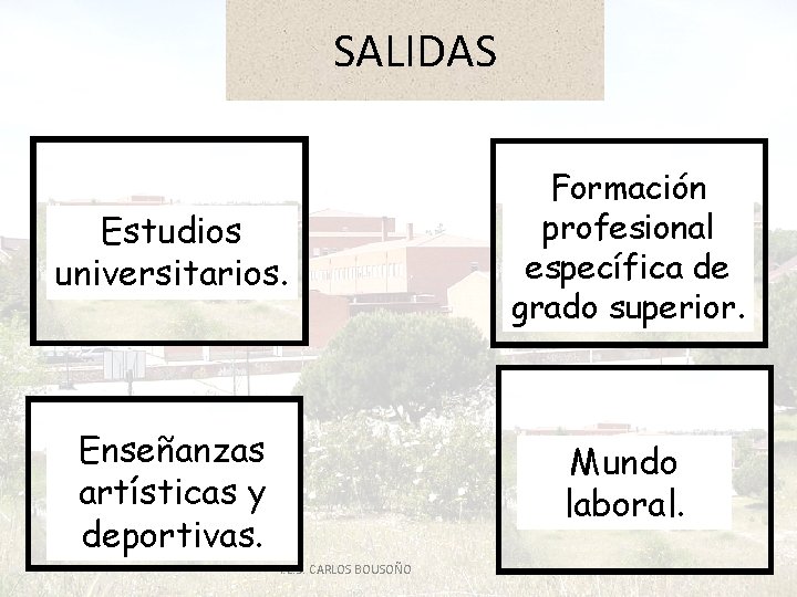 SALIDAS Estudios universitarios. Formación profesional específica de grado superior. Enseñanzas artísticas y deportivas. Mundo