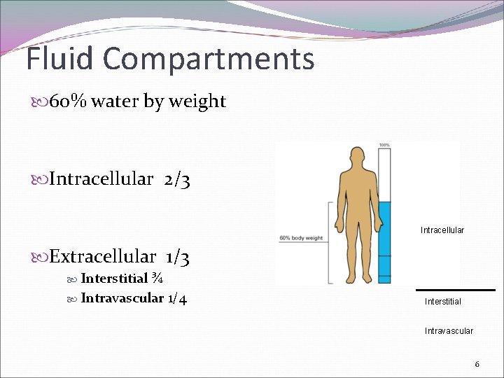 Fluid Compartments 60% water by weight Intracellular 2/3 Intracellular Extracellular 1/3 Interstitial ¾ Intravascular