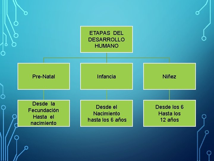 ETAPAS DEL DESARROLLO HUMANO Pre-Natal Infancia Niñez Desde la Fecundación Hasta el nacimiento Desde