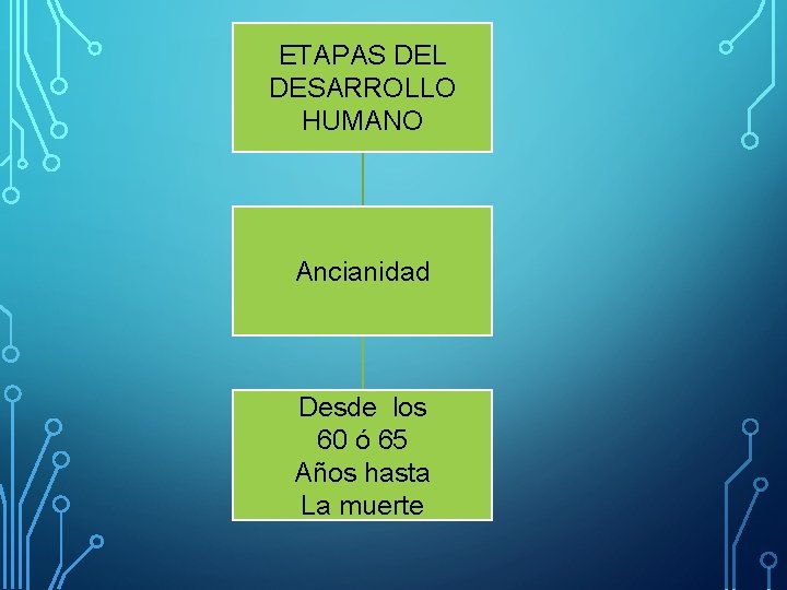 ETAPAS DEL DESARROLLO HUMANO Ancianidad Desde los 60 ó 65 Años hasta La muerte