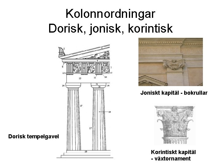Kolonnordningar Dorisk, jonisk, korintisk Joniskt kapitäl - bokrullar Dorisk tempelgavel Korintiskt kapitäl - växtornament