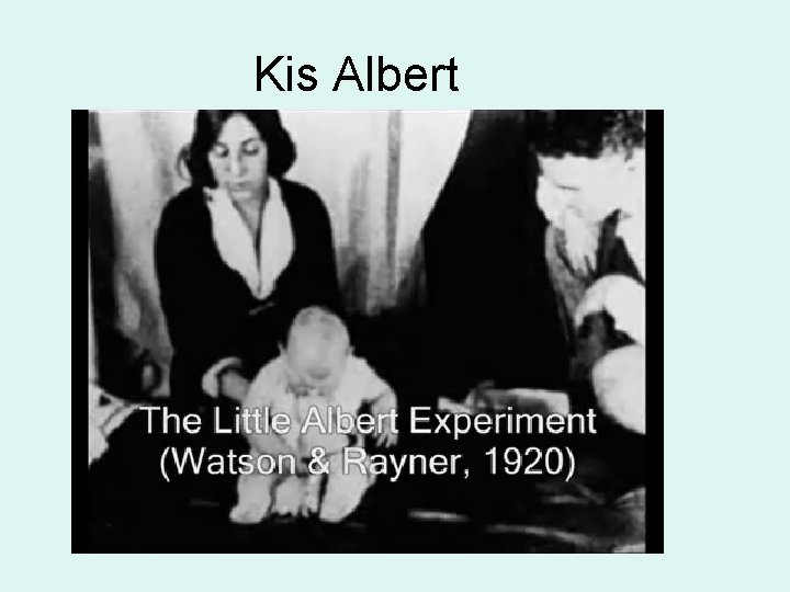 Kis Albert 