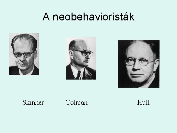 A neobehavioristák Skinner Tolman Hull 