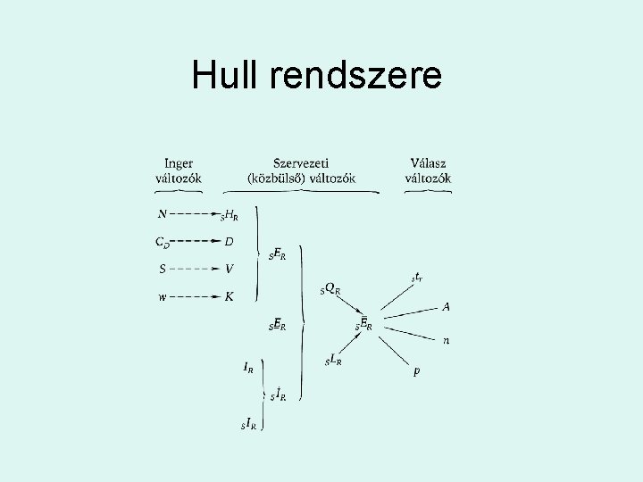 Hull rendszere 