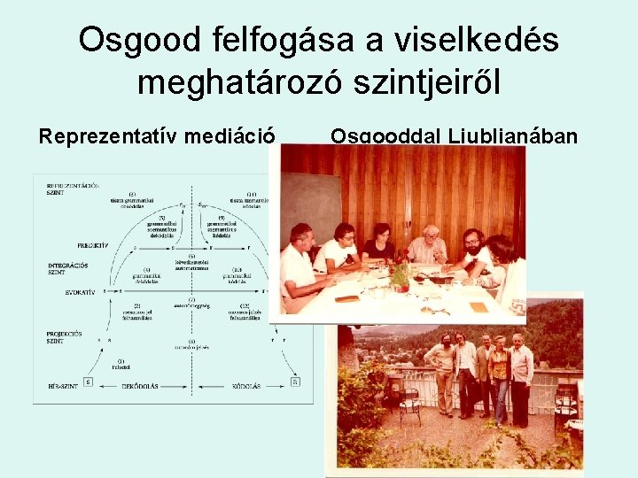 Osgood felfogása a viselkedés meghatározó szintjeiről Reprezentatív mediáció Osgooddal Ljubljanában 