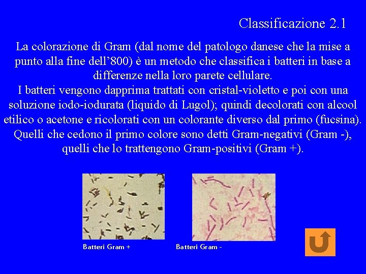 Classificazione 2. 1 La colorazione di Gram (dal nome del patologo danese che la