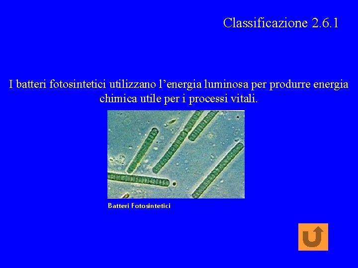 Classificazione 2. 6. 1 I batteri fotosintetici utilizzano l’energia luminosa per produrre energia chimica