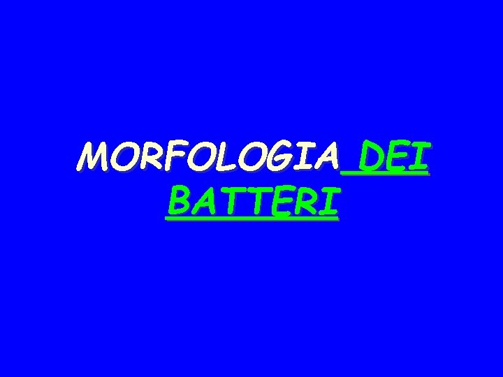 MORFOLOGIA DEI BATTERI 