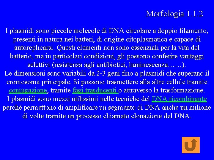 Morfologia 1. 1. 2 I plasmidi sono piccole molecole di DNA circolare a doppio