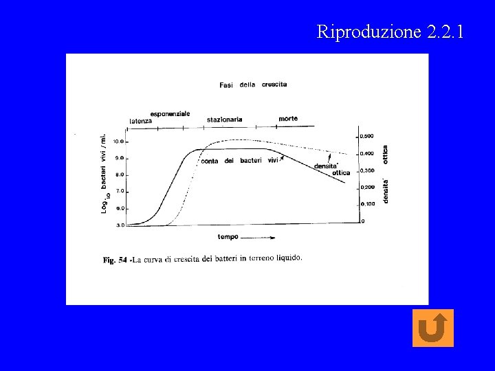 Riproduzione 2. 2. 1 